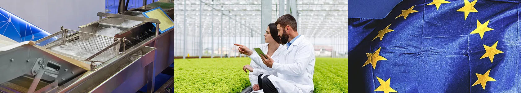 Maschinen, Agrar- und Lebensmittelproduktion und europäischer Marktkontext